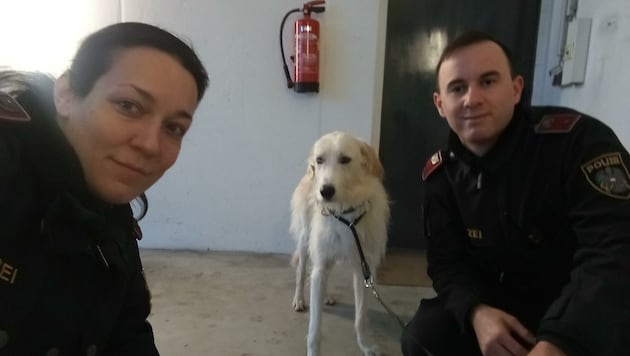 Karin Fechner und Georg Hofmann retteten Hund „Knopfi“ (Bild: Polizei)