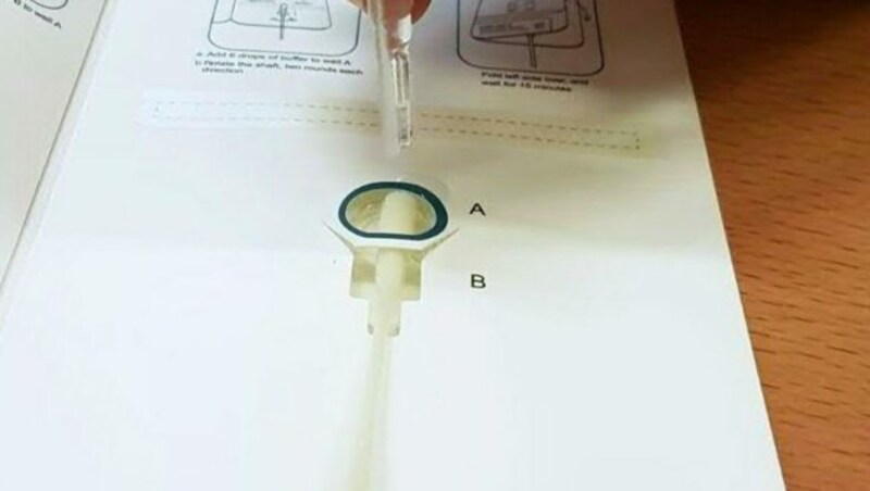 Ab sofort kommen an den Schulen die neuen Corona-Selbsttests für Schüler und Lehrer zum Einsatz. (Bild: APA/ANNA MÜLLER)