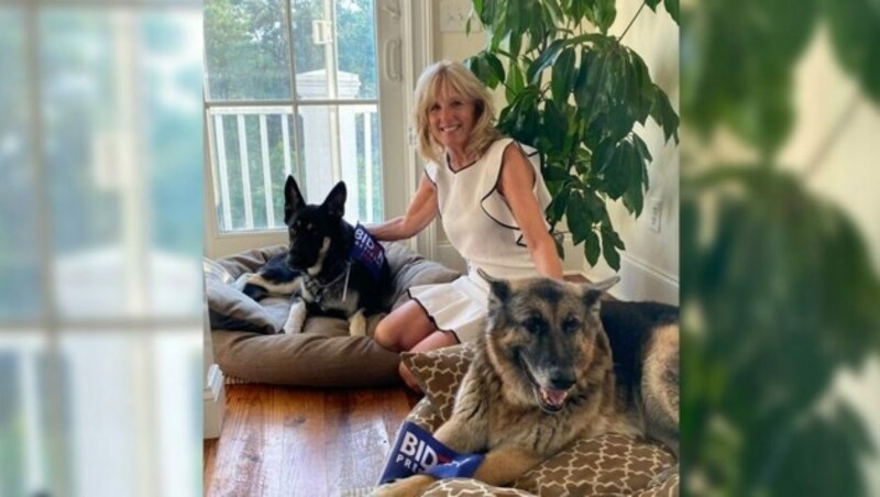 Jill Biden mit „Major“ und „Champ“ (Bild: twitter.com/DrBiden)