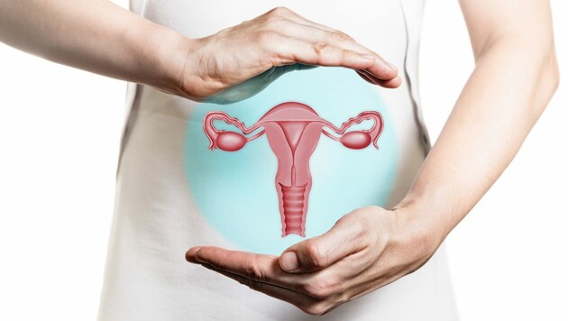 The fallopian tubes connect the ovary to the uterus. (Bild: svetazi/stock.adobe.com)