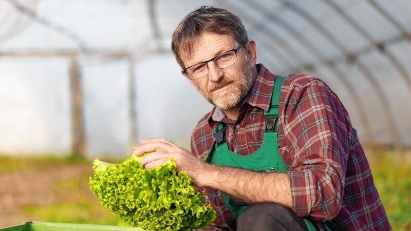 Andreas Lackner (The Greens) (Bild: Die Grünen Steiermark)