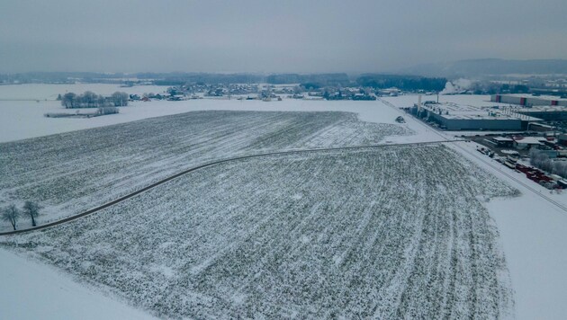 Auf diesem 30 Hektar großen Grundstück in Reichersberg könnten sich schon bald die ersten Firmen ansiedeln. (Bild: Scharinger Daniel)