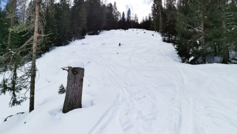 (Bild: Naturpark Zillertaler Alpen)