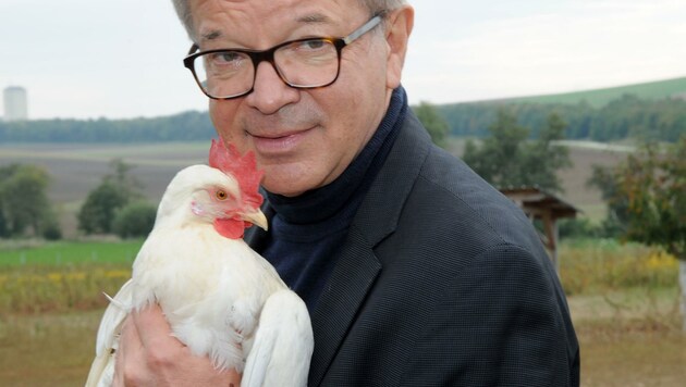 Für Eier und Co.: Minister Rudolf Anschober (Grüne) legte Verordnung vor. (Bild: Crepaz Franz)