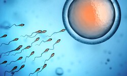 Wissenschaftler fanden heraus, dass eine Covid-19-Erkrankung die Qualität der männlichen ...