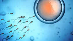 Wissenschaftler fanden heraus, dass eine Covid-19-Erkrankung die Qualität der männlichen ...
