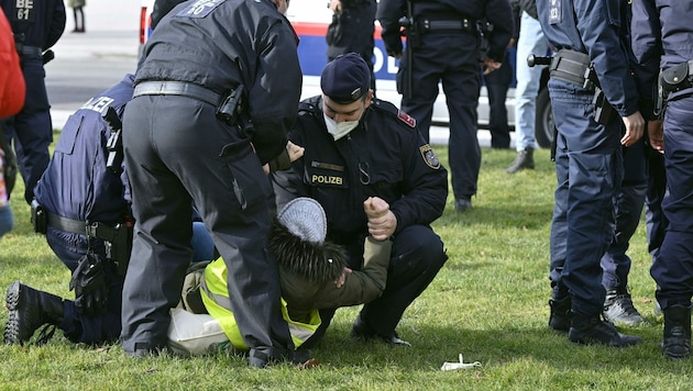 Eine Aktivistin und Polizisten (Bild: APA/Herbert Neubauer)