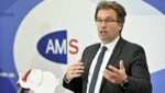 AMS-Chef Johannes Kopf (Bild: APA/Herbert Neubauer)