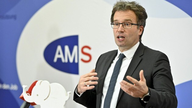 AMS-Chef Johannes Kopf (Bild: APA/Herbert Neubauer)