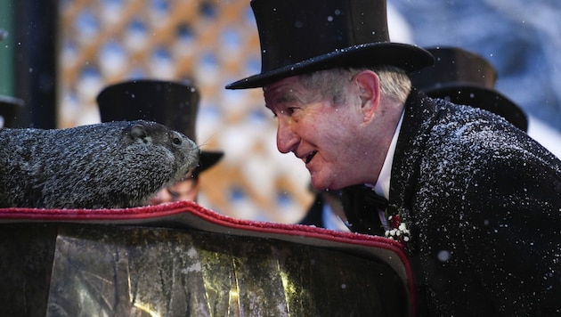 Groundhog-Klubbetreuer Jeff Lundy mit „Phil“ (Bild: AP Photo/Barry Reeger)