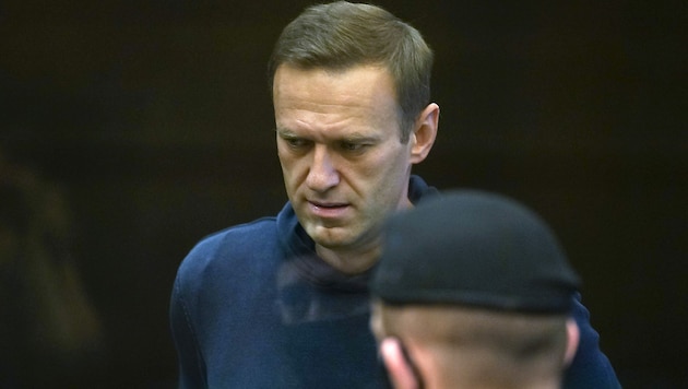 Alexej Nawalny vor Gericht (Archivbild) (Bild: AP)