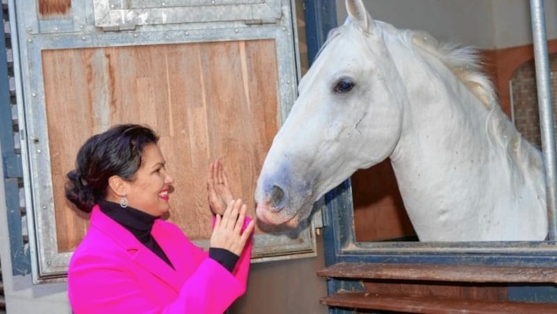 Liebe auf den ersten Blick: Netrebko und Lipizzaner (Bild: Starpix / Alexander Tuma)