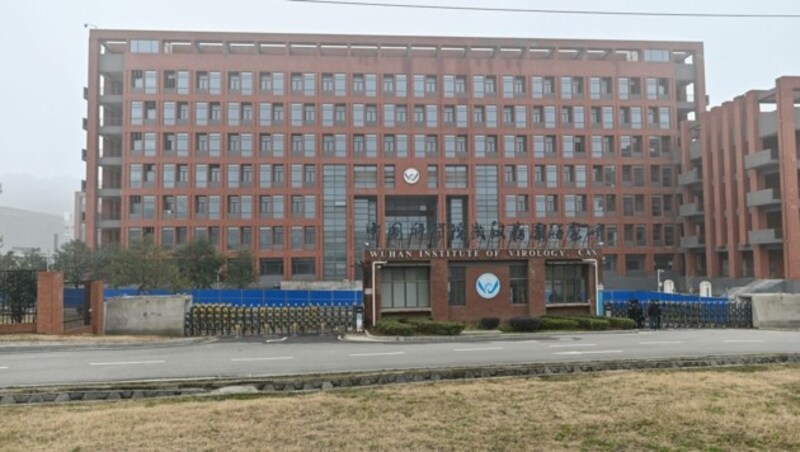 Institut für Virologie in Wuhan (Bild: AFP)