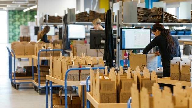 Täglich werden bei niceshops vom südoststeirischen Paldau aus mehr als 15.000 Pakete nach Europa und in die Welt versandt. (Bild: Günther Linshalm)