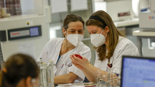 Ausgang noch offen: Die Abklärung der diversen Virus-Varianten läuft weiter auf Hochtouren (Bild: Tschepp Markus)