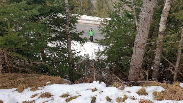 Der Unfallort eines tödlichen Rodelunfalls auf der Hochwurzen bei Schladming (Bild: APA/Roland Theny)