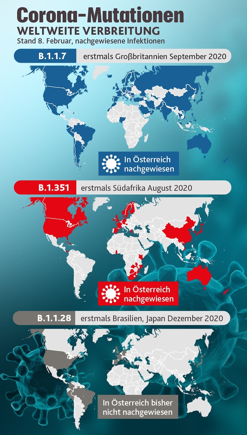 (Bild: APA/WHO, AGES, stock.adobe.com, Krone KREATIV)