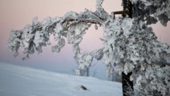 Der Winter regiert in der Steiermark von Norden bis Süden. (Bild: APA/Barbara Gindl)