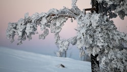 Der Winter regiert in der Steiermark von Norden bis Süden. (Bild: APA/Barbara Gindl)