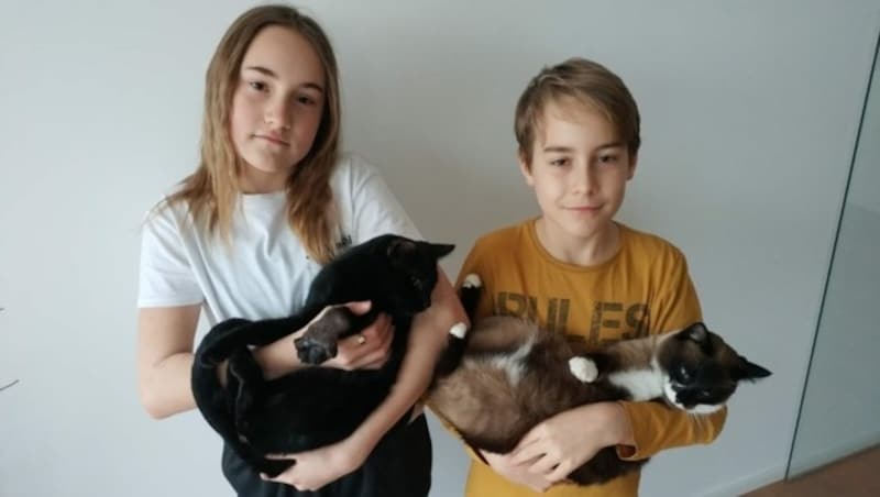 Die Geschwister Viktoria und Sebastian mit den betroffenen Katzen „Raul“ und „Una“ (Bild: ZVG)