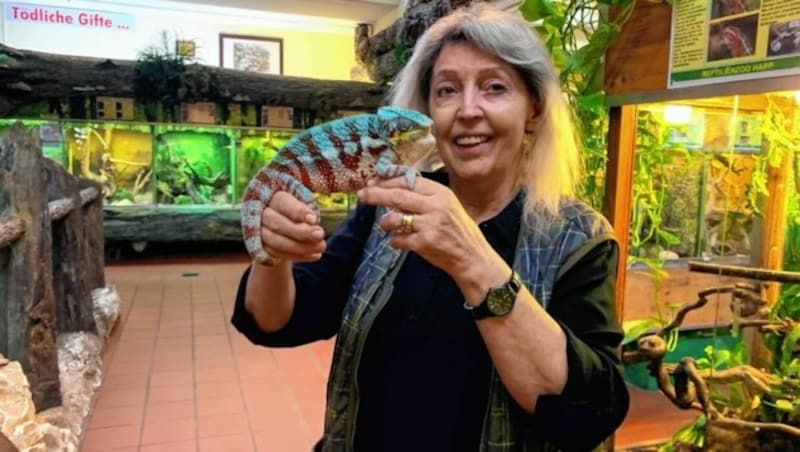 Helga Happ, Inhaberin des Reptilienzoos in Klagenfurt, macht gerade Urlaub in Grado. Ihre Beobachtungen waren schockierend (Bild: Kerstin Wassermann)