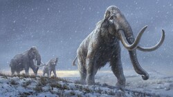 Künstlerische Illustration: So dürften die Steppen-Mammuts ausgesehen haben. (Bild: Centre for Palaeogenetics/Beth Zaiken)