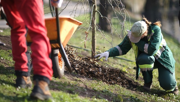 Jobs gibt es etwa bei der Pflege und Instandhaltung der Parks (Bild: (c) Anna Jurkovska)