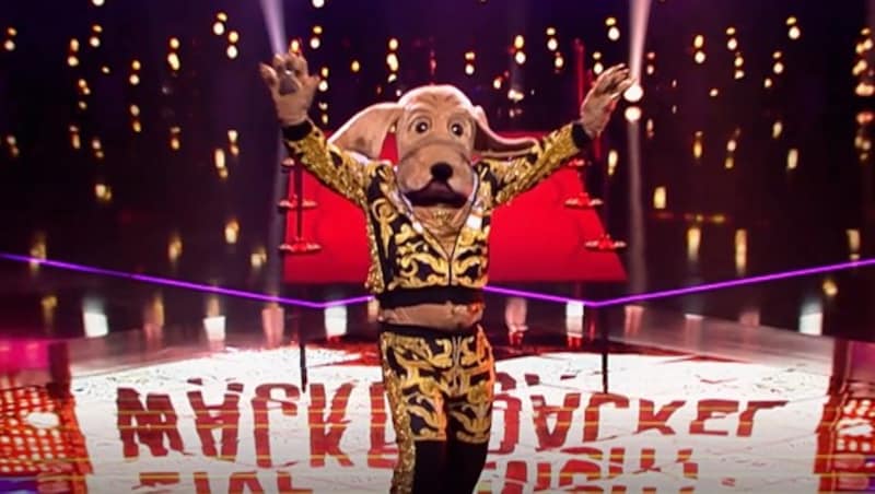 Der Wackeldackel sorgt für Disco-Fieber bei „The Masked Singer Austria“. (Bild: Puls 4)