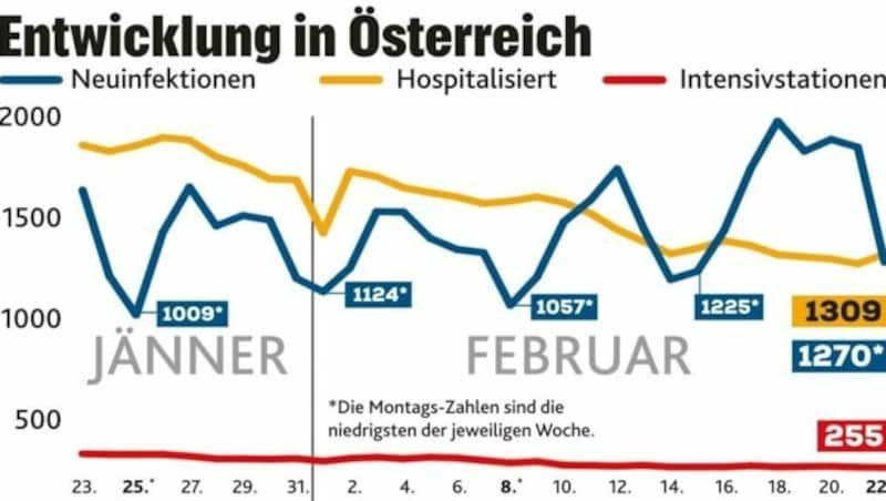 (Bild: Krone kreativ)