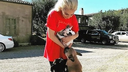 Zwei von Lady Gagas Hunden wurden entführt. (Bild: instagram.com/ladygaga)