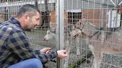 Arche-Noah-Chef Charly Forstner mit den beiden Hunden (Bild: Sepp Pail)