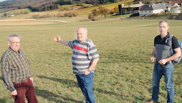  Bock, Labenbacher und Wagner protestieren  (Bild: Crepaz Franz)