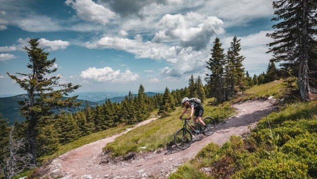 Die Mountainbike-Strecken um St. Corona am Wechsel zogen um 5 Prozent mehr Gäste an (Bild: NÖ Werbung/Jakub Fiser)