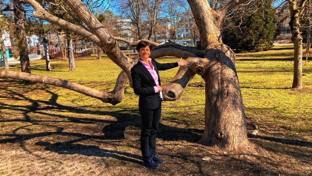 Vizerektorin Doris Hattenberger vor dem Uni-Areal, wo bald ein Outdoor-Hörsaal installiert werden könnte. (Bild: Tragner Christian)