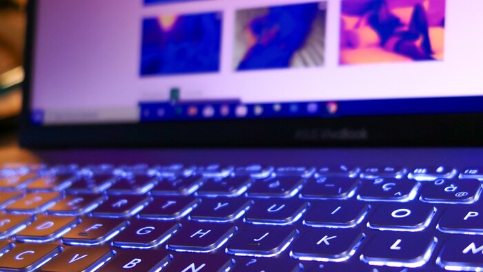 Bei Hausdurchsuchungen wurden mehrere Terabyte an illegalen Aufnahmen beschlagnahmt.
