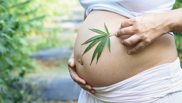 Cannabis beeinträchtigt die Fruchtbarkeit. (Bild: Cubodeluz/stock.adobe.com)