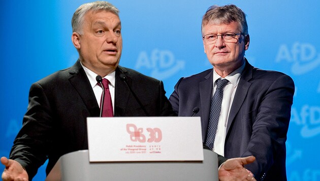 AfD-Ko-Vorsitzender Jörg Meuthen wünscht sich eine Zusammenarbeit mit den EU-Abgeordneten der Partei von Ungarns Ministerpräsident Viktor Orban. (Bild: APA/dpa/Rolf Vennenbernd, APA/AFP/BARTOSZ SIEDLIK, Krone KREATIV)