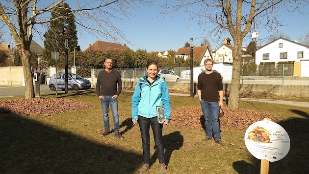 Wirtschaftshof-Mitarbeiter Markus Obojkovits, Claudia Schütz (suske) und Johannes Maurer (suske) im Rathaus-Garten (Bild: Stadtgemeinde Oberwart)