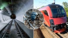 (Bild: Montage: Tschepp, ÖBB, Adobe Stock)