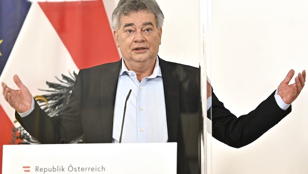 Vizekanzler und Sportminister Kogler präsentierte am Mittwoch die neuen Hilfen. (Bild: APA/HANS PUNZ)