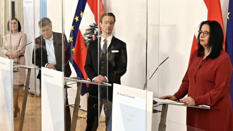 Das "wirtschaftliche" Quartett: Köstinger, Kogler, Blümel, Mayer (v.l.) (Bild: APA/HANS PUNZ)