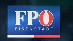 Die Bezirkspartei verlor fast das komplette Präsidium. (Bild: P. Huber )