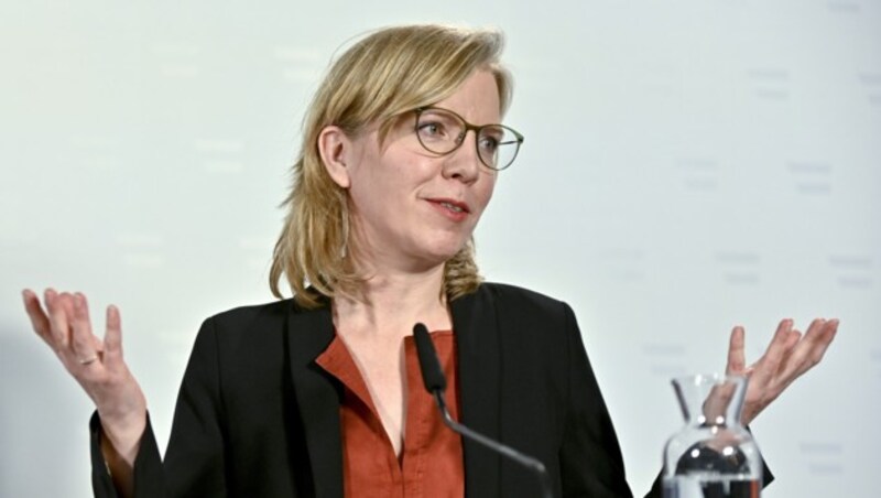 Umweltministerin Leonore Gewessler (Bild: APA/HERBERT NEUBAUER)