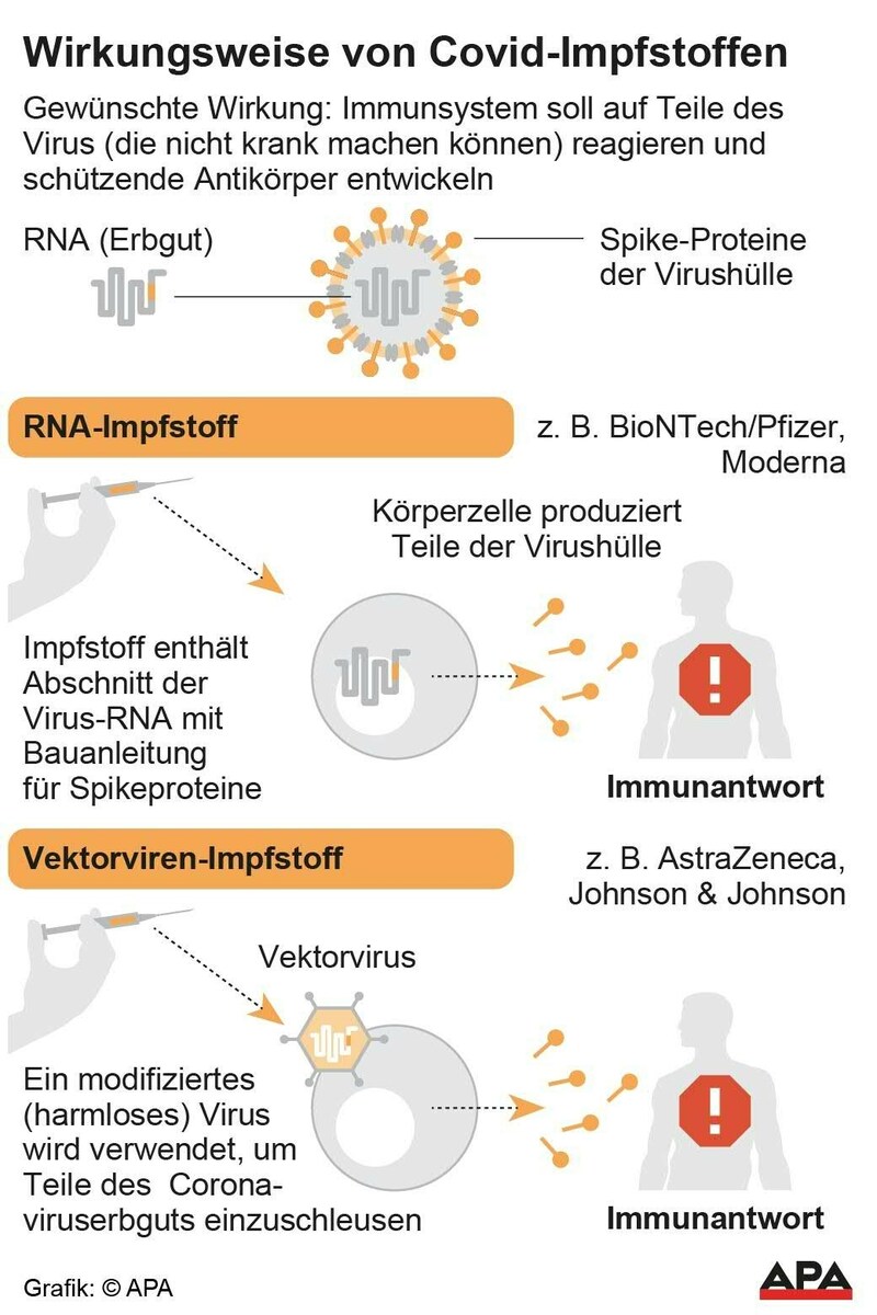 (Bild: APA)