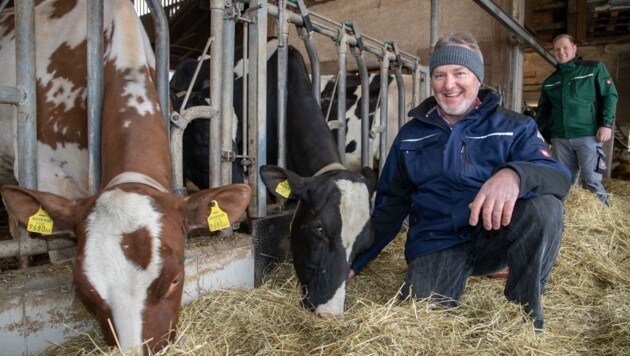 Milchbauern Rudi und Sohn Alexander Felber bewirtschaften den Krögnerwirt-Hof in Göming: „Es geht um die Tierethik!“ (Bild: Berger Susi)