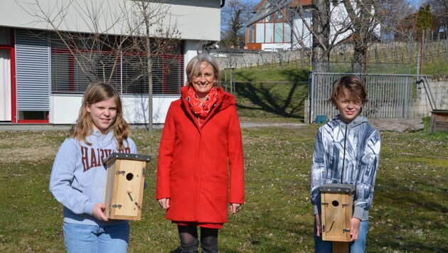 Die Mittelschule in Gols ist auch Klimaschule und beschäftigt sich mit Klima- und Naturschutz. Gerade jetzt werden Nistkästen auf dem Schulgelände aufgehängt. (Bild: Charlotte Titz)