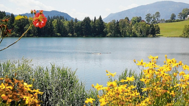 Ausschreibung startet: Naturjuwele wie der Maltschacher See (Bild) bleiben erhalten. (Bild: Kronenzeitung)