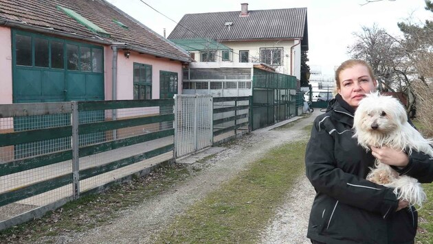 Leiterin Beatrice Schneider - im Bild mit Hündin „Mia“ – macht sich nach der massiven Pachterhöhung große Sorgen um ihr Tierheim. Ein Verbleib unter diesen Bedingungen scheint für den kleinen Verein nicht weiter leistbar zu sein. (Bild: Judt Reinhard)