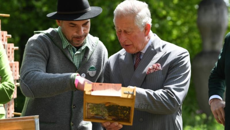 Briten-Thronfolger Charles produziert auf seinem Landgut im Herzogtum Cornwall den edlen „Highgrove Royal Estate Honey“ und tauscht sich auch gerne mit anderen Imkern aus. (Bild: dpa Pool)