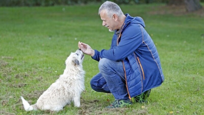 Für Experte Karl Weissenbacher (im Bild) ist Schutzhundesport archaisch und sollte nur noch Diensthunden vorbehalten sein. (Bild: Holl Reinhard)